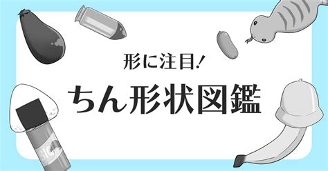 つちのこちんこ|亀頭・ペニスの形は3つの種類がある。先細りからツチノコ型、。